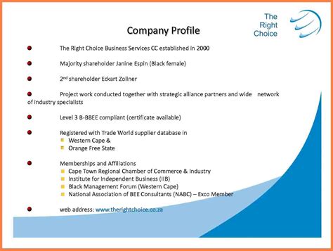 Company Profile Template For Small Business